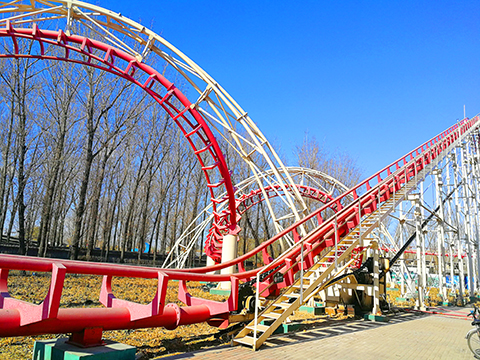Roller coaster rides for sale